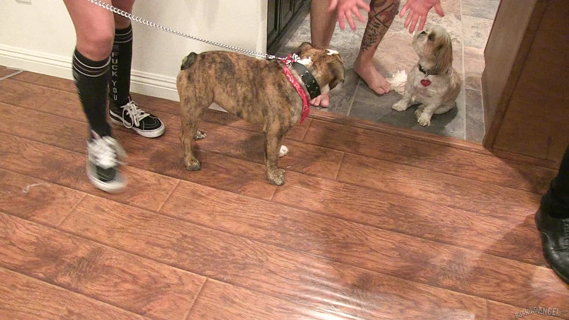 Burning Angel 'BTS Episode 60' starring Lily Lane (Photo 7)